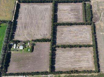 16 Has CON MEJORAS – LIMA – ZARATE, Bs AS