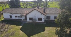 84 Has AGRICOLAS S/ ASFALTO