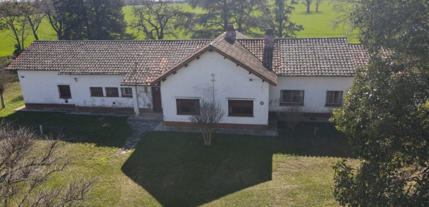 84 Has AGRICOLAS S/ ASFALTO