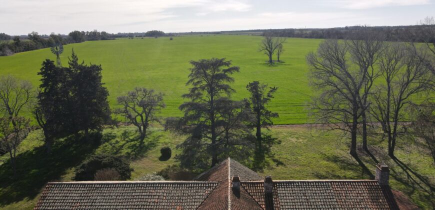 84 Has AGRICOLAS S/ ASFALTO