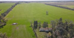 84 Has AGRICOLAS S/ ASFALTO