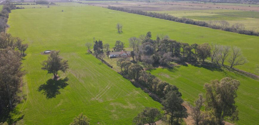 84 Has AGRICOLAS S/ ASFALTO