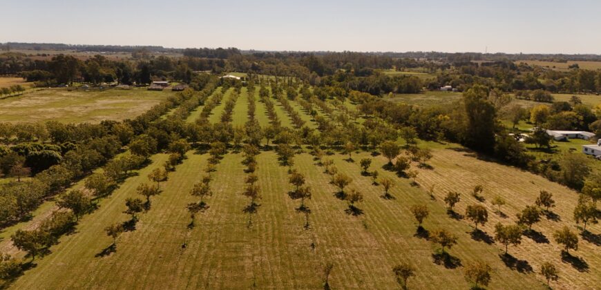 32 Has EMPRENDIMIENTO AGRO TURISMO