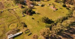 377 Has AGRICOLAS IMPORTANTE CASCO – Zárate