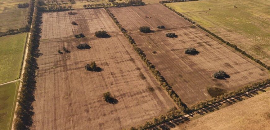 377 Has AGRICOLAS IMPORTANTE CASCO – Zárate