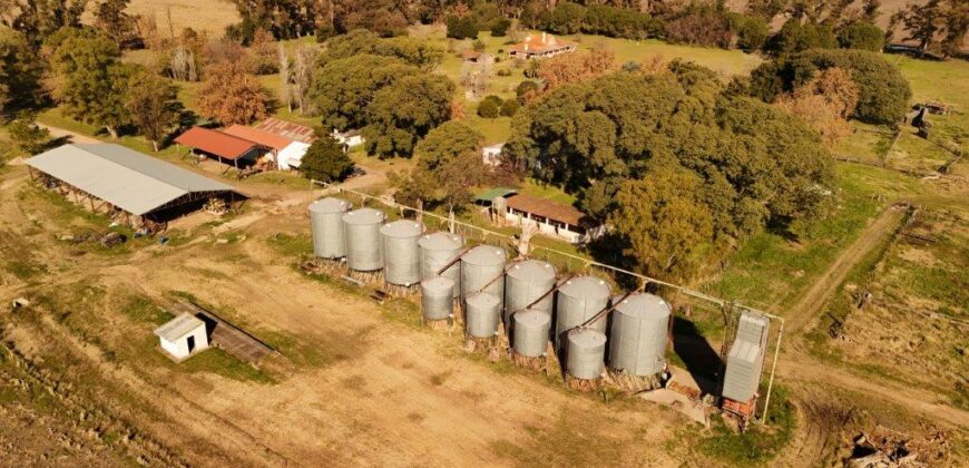 377 Has AGRICOLAS IMPORTANTE CASCO – Zárate