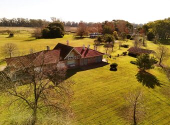 377 Has AGRICOLAS IMPORTANTE CASCO – Zárate