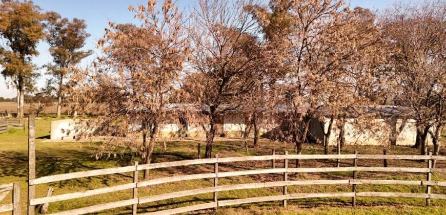 377 Has AGRICOLAS IMPORTANTE CASCO – Zárate