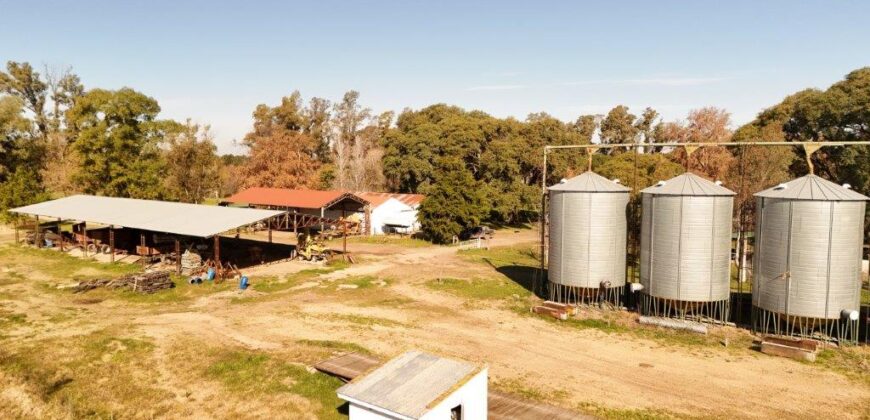 377 Has AGRICOLAS IMPORTANTE CASCO – Zárate