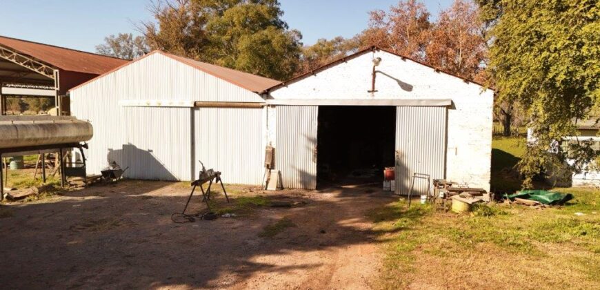 377 Has AGRICOLAS IMPORTANTE CASCO – Zárate