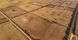 377 Has AGRICOLAS IMPORTANTE CASCO – Zárate