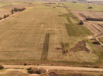 85 Has AGRICOLAS S/ MEJORAS – Zárate