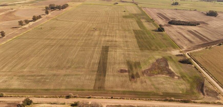 85 Has AGRICOLAS S/ MEJORAS – Zárate