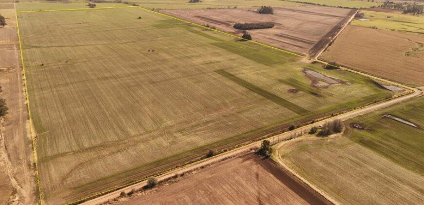85 Has AGRICOLAS S/ MEJORAS – Zárate