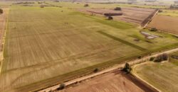 85 Has AGRICOLAS S/ MEJORAS – Zárate