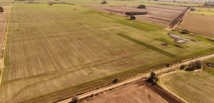 85 Has AGRICOLAS S/ MEJORAS – Zárate