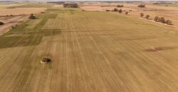 85 Has AGRICOLAS S/ MEJORAS – Zárate