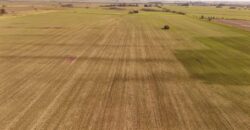 85 Has AGRICOLAS S/ MEJORAS – Zárate