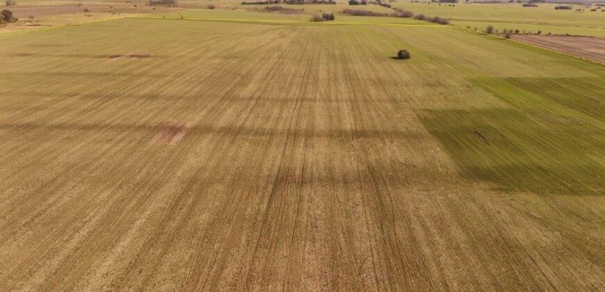 85 Has AGRICOLAS S/ MEJORAS – Zárate