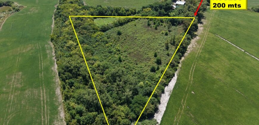 3,3 Has. ZÁRATE – PRÓXIMO A PANAMERICANA