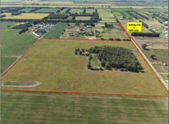 20 Has AGRÍCOLAS – Lima, Zàrate, BS.AS