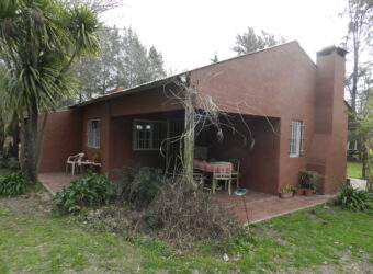 3,5 Has. Chacra en Lima – Zárate