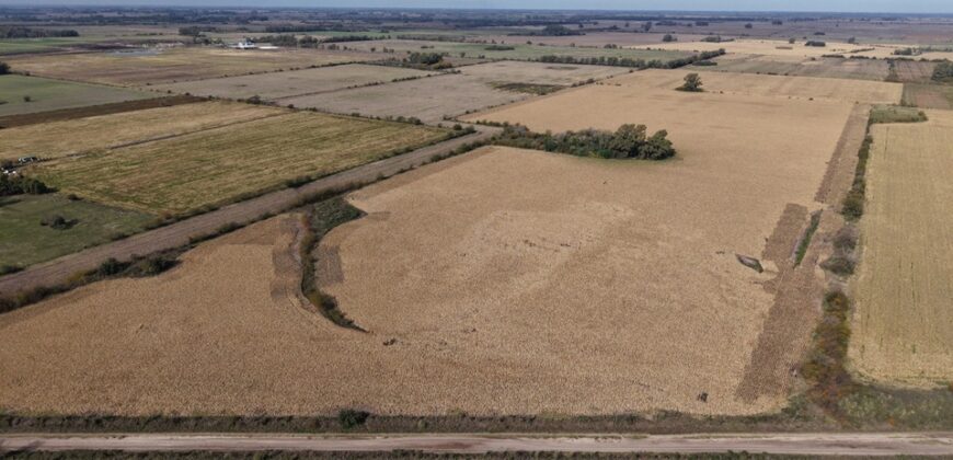 47 Has Agricolas S/ Mejoras