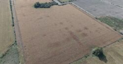 47 Has Agricolas S/ Mejoras