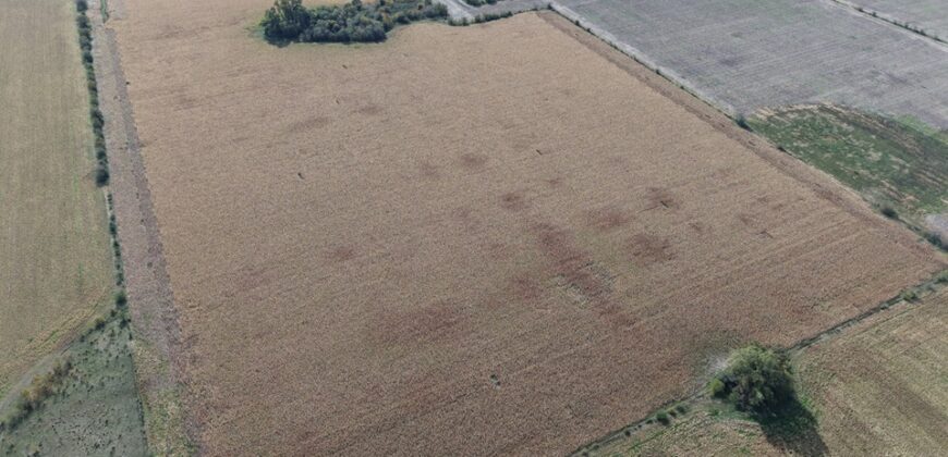 47 Has Agricolas S/ Mejoras
