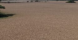47 Has Agricolas S/ Mejoras