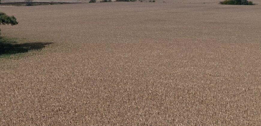 47 Has Agricolas S/ Mejoras