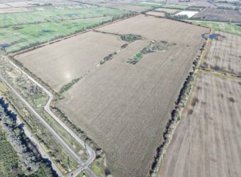 177 Has AGRICOLAS SIN MEJORAS