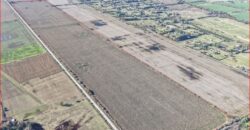 177 Has AGRICOLAS SIN MEJORAS